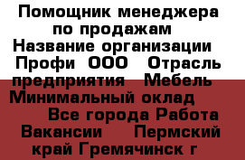 Помощник менеджера по продажам › Название организации ­ Профи, ООО › Отрасль предприятия ­ Мебель › Минимальный оклад ­ 60 000 - Все города Работа » Вакансии   . Пермский край,Гремячинск г.